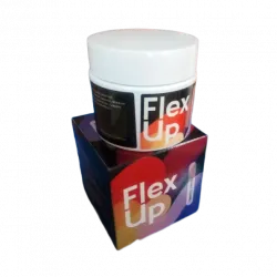 Flex Up